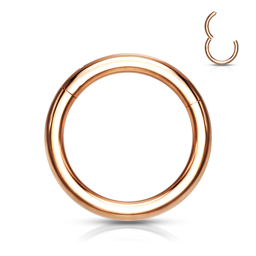 Titanium Hinged Segment Hoop Ring 16 Gauge - 8 MM or 10 MM - 3 Colors