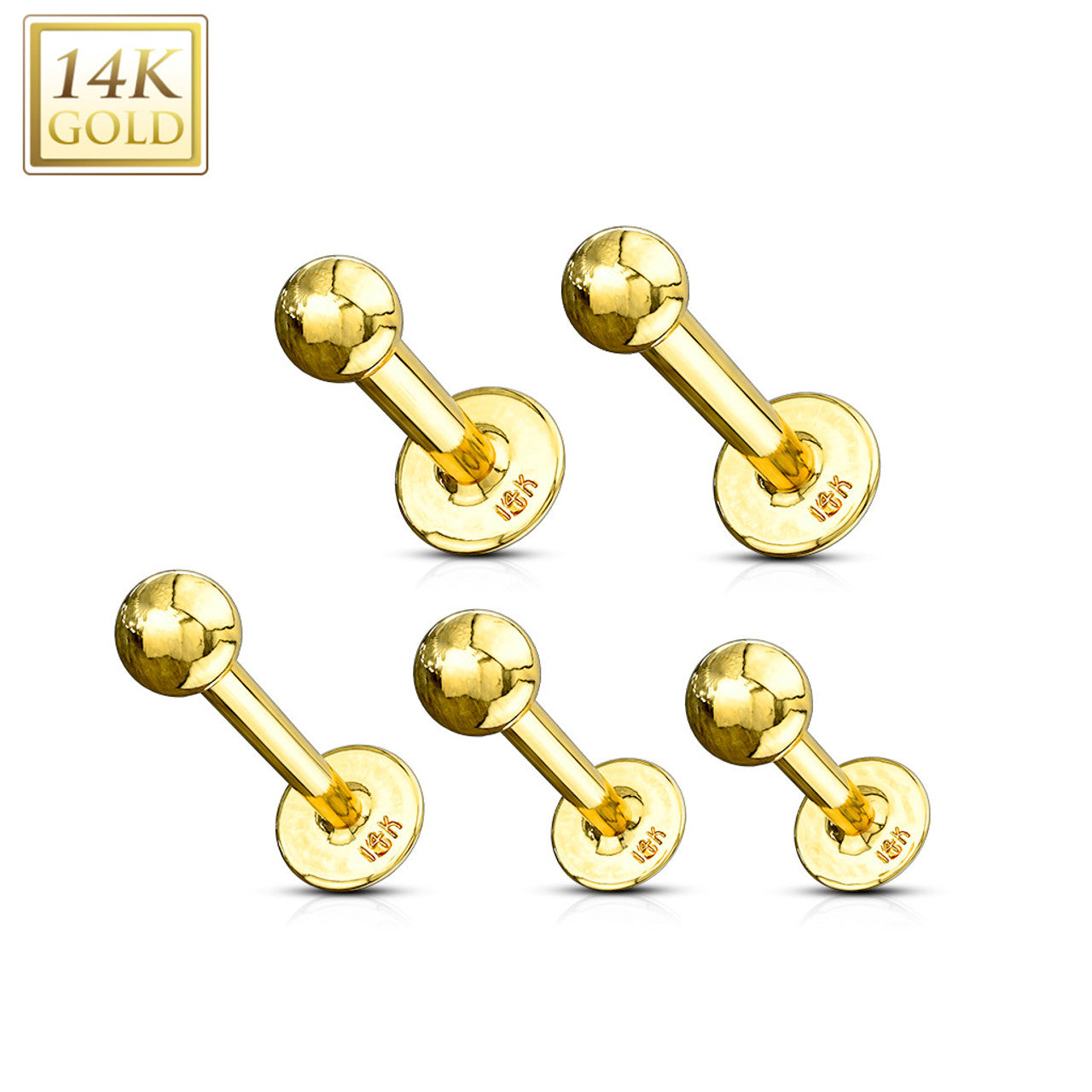 14 Karat Solid Gold Labret / Monroe 16 or 14 Gauge Ball Top Stud