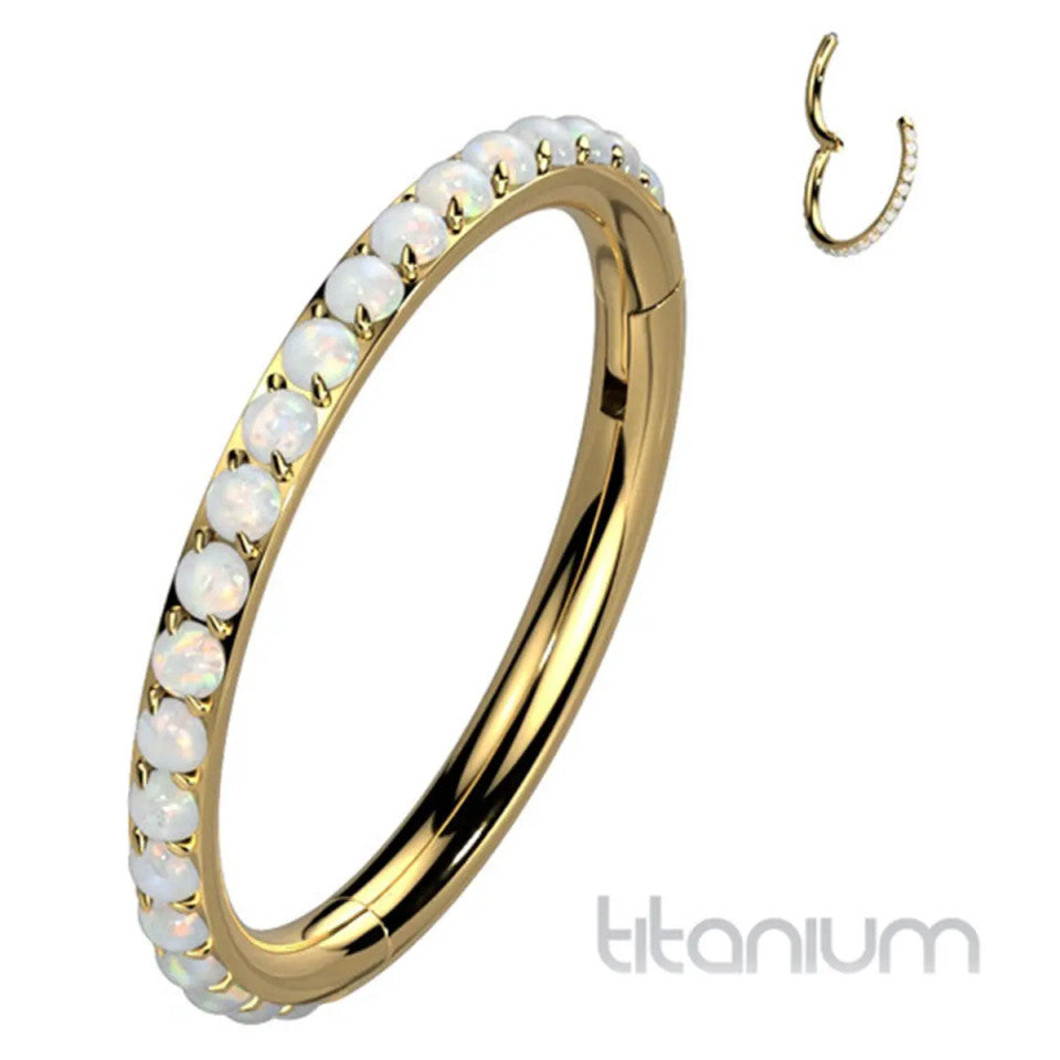 Titanium 16 Gauge Hinged Segment Rings with Forward Facing Opal - photo 6