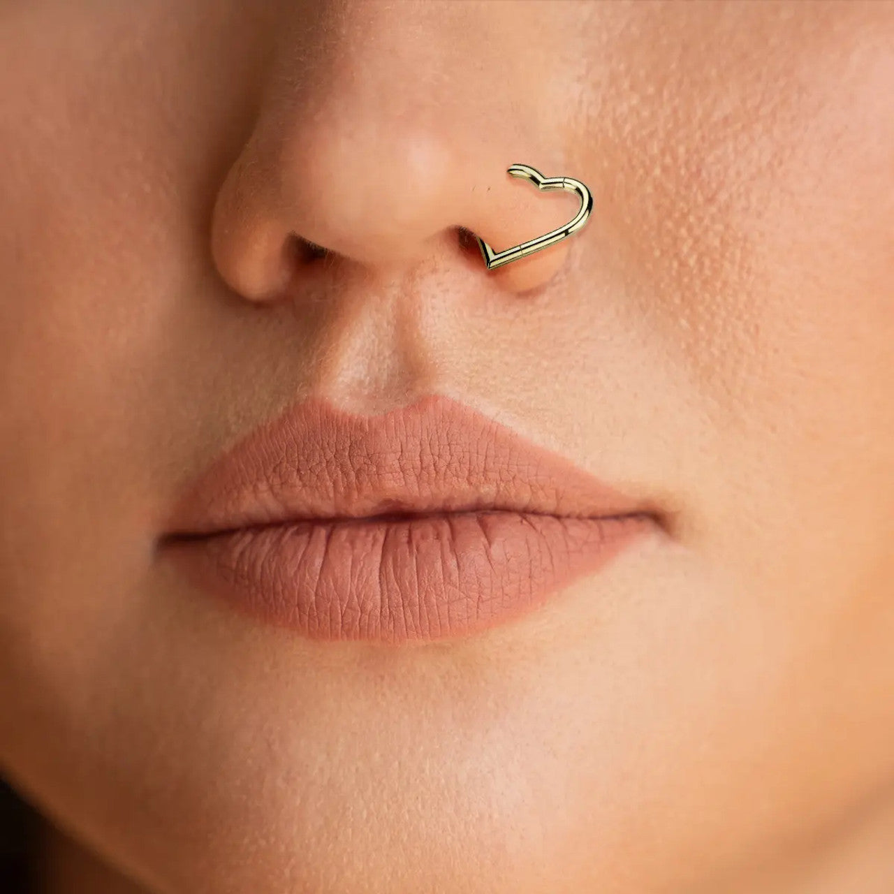 Titanium Hinged Segment Hoop Ring 18 Gauge With Heart Shape - Pair
