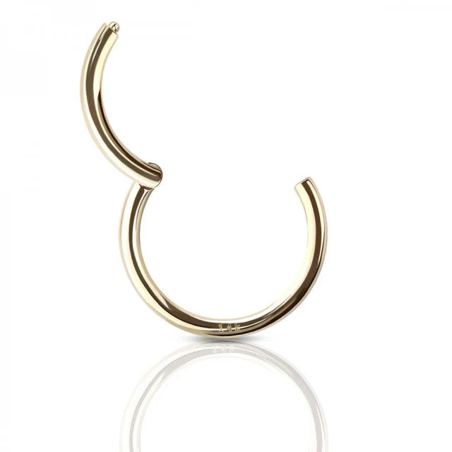 14 Karat Solid Gold Hinged Segment Ring 20 18 & 16 Gauge Seamless Hoop - Kruelty - Photo 3