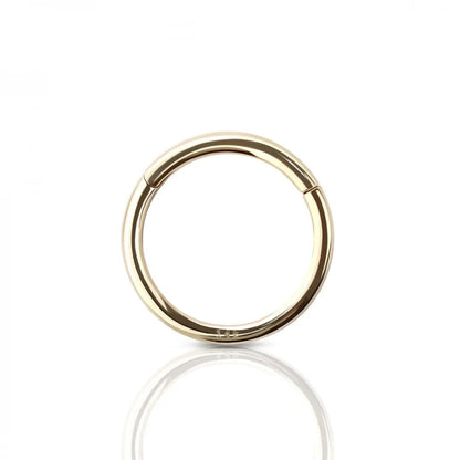 14 Karat Solid Gold Hinged Segment Ring 20 18 & 16 Gauge Seamless Hoop