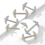 14K Solid Gold 14 Gauge Cluster CZ Nipple Barbell - Pair