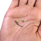 Surgical Steel & Acrylic 16G Spike Curved Barbells - 20 Pack