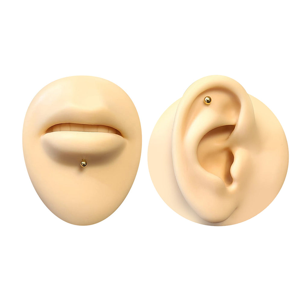 Surgical Steel Flat Back Labret Stud 16G 12mm with PVD Gold Ball - photo 3