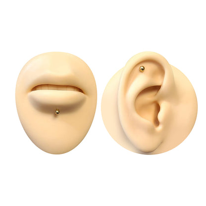 Surgical Steel Flat Back Labret Stud 16G 12mm with PVD Gold Ball - photo 3
