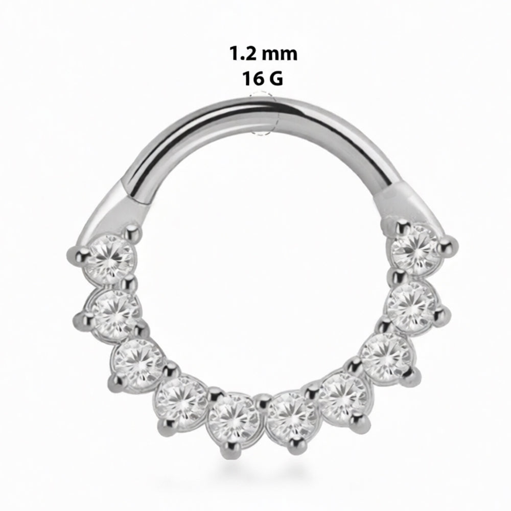 Titanium 16 Gauge Hinged Segment Rings with Sun Paved CZ