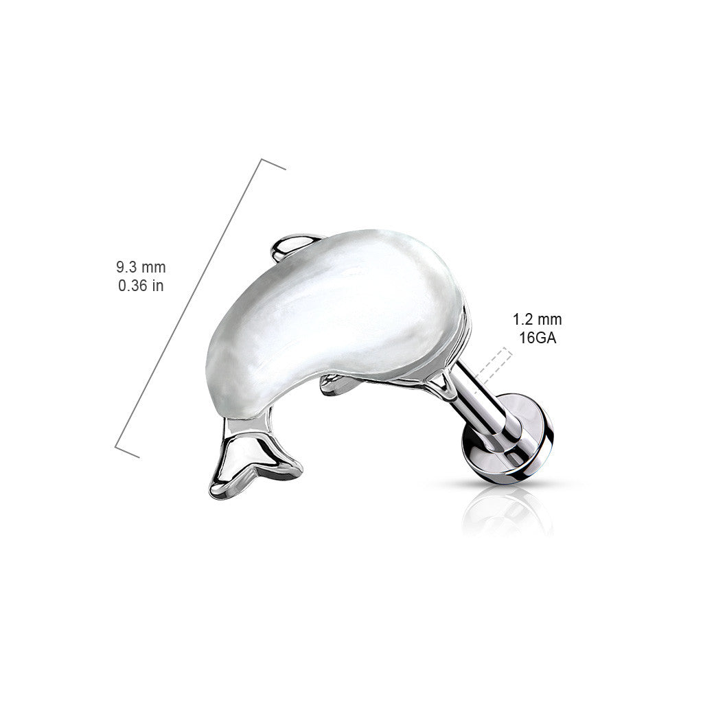 Surgical Steel 16 Gauge Flat Back Labret Stud with Whale Top - photo 2