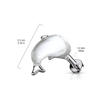 Surgical Steel 16 Gauge Flat Back Labret Stud with Whale Top - photo 2
