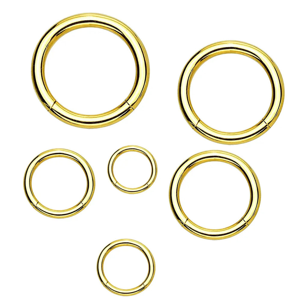 Titanium Hinged Segment Nose Hoop Ring 18 Gauge with New Secure Hook - Kruelty - Photo 8