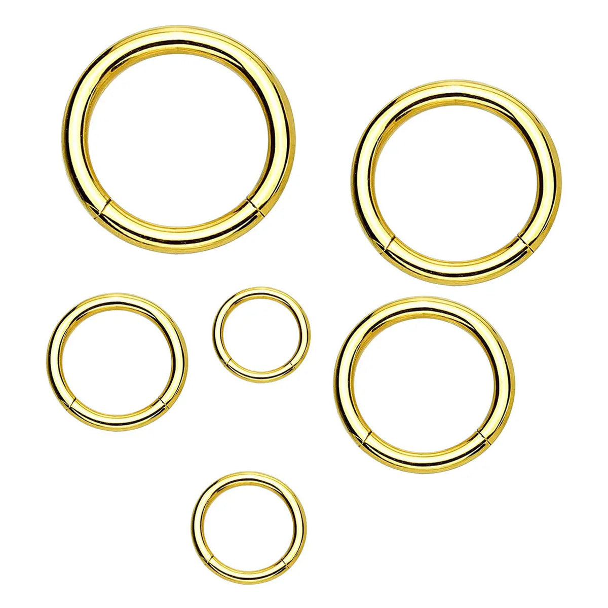 Titanium Hinged Segment Nose Hoop Ring 18 Gauge with New Secure Hook - Kruelty - Photo 8