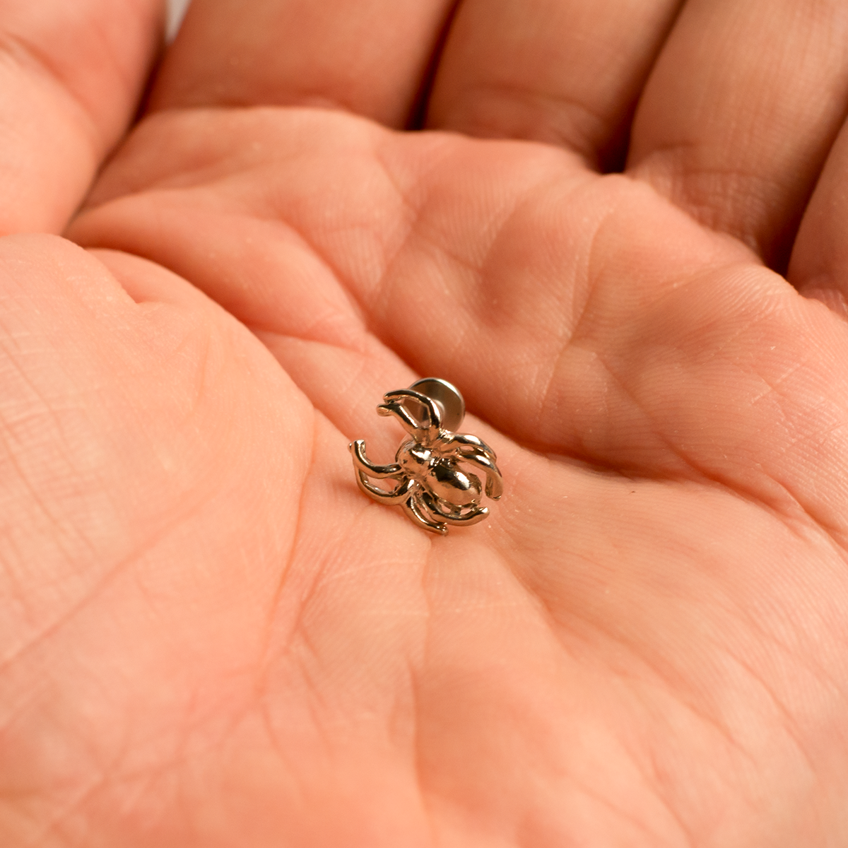 Surgical Steel 16 Gauge Flat Back Labret Stud with Spider Design - photo 4