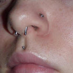 Surgical Steel Anodized Titanium Septum Ring Retainer 16 Gauge U Shape - Kruelty - Photo 2
