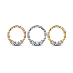 Surgical Steel Hinged Segment Ring 16 Gauge 3 Set CZ - Kruelty