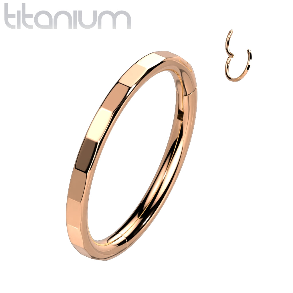 Titanium 16 Gauge Hinged Segment Ring with Faceted Rectangles - photo 5