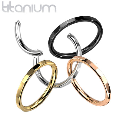 Titanium 16 Gauge Hinged Segment Ring with Faceted Rectangles