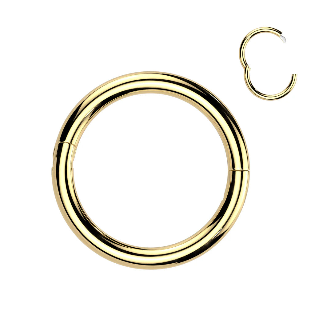 Titanium Hinged Segment Nose Hoop Ring 18 Gauge with New Secure Hook - Kruelty - Photo 9