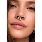 Titanium alien hinged segment ring