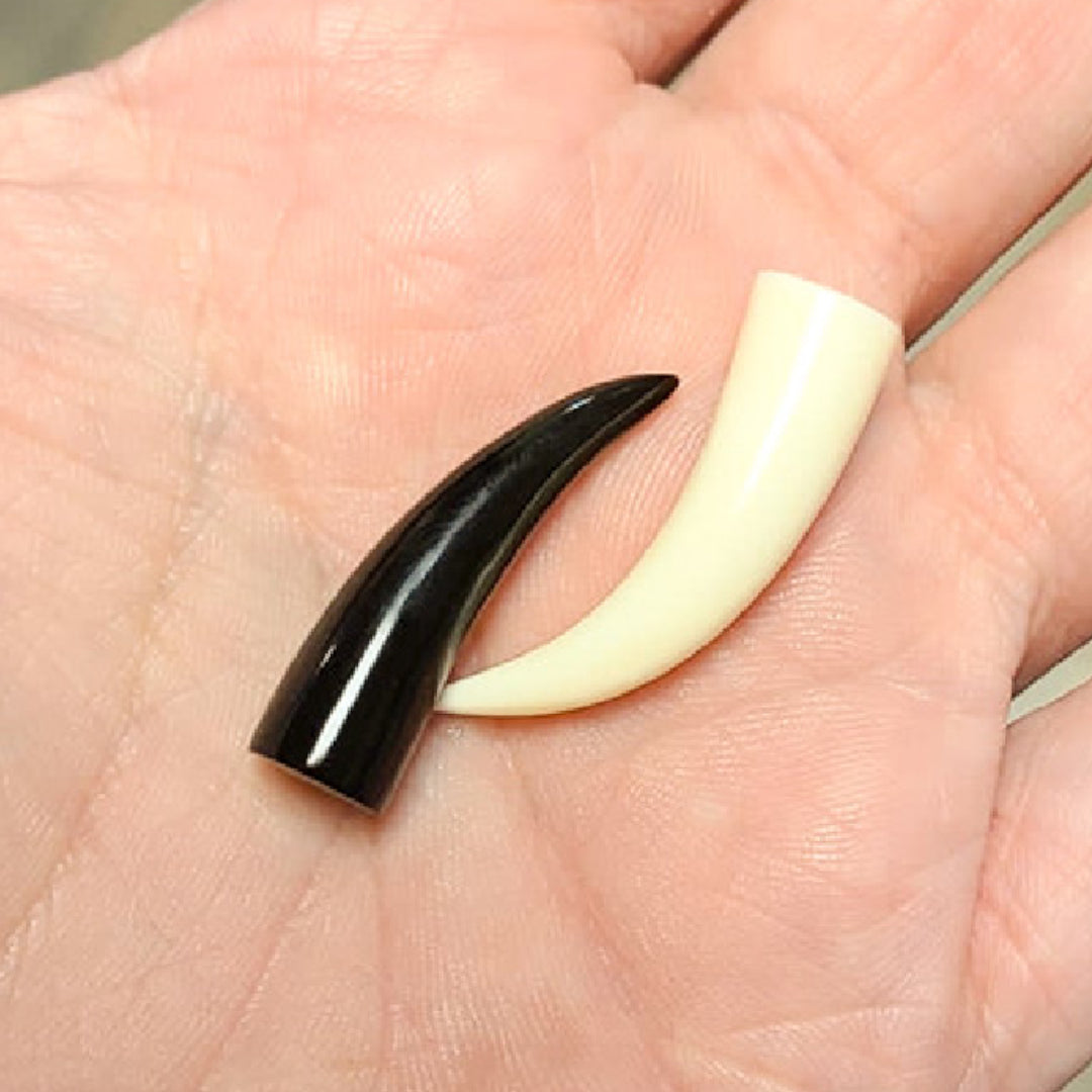 Buffalo Horn 6 to 0 Gauge Talon Claw Ear Tapers - Pair - photo 2