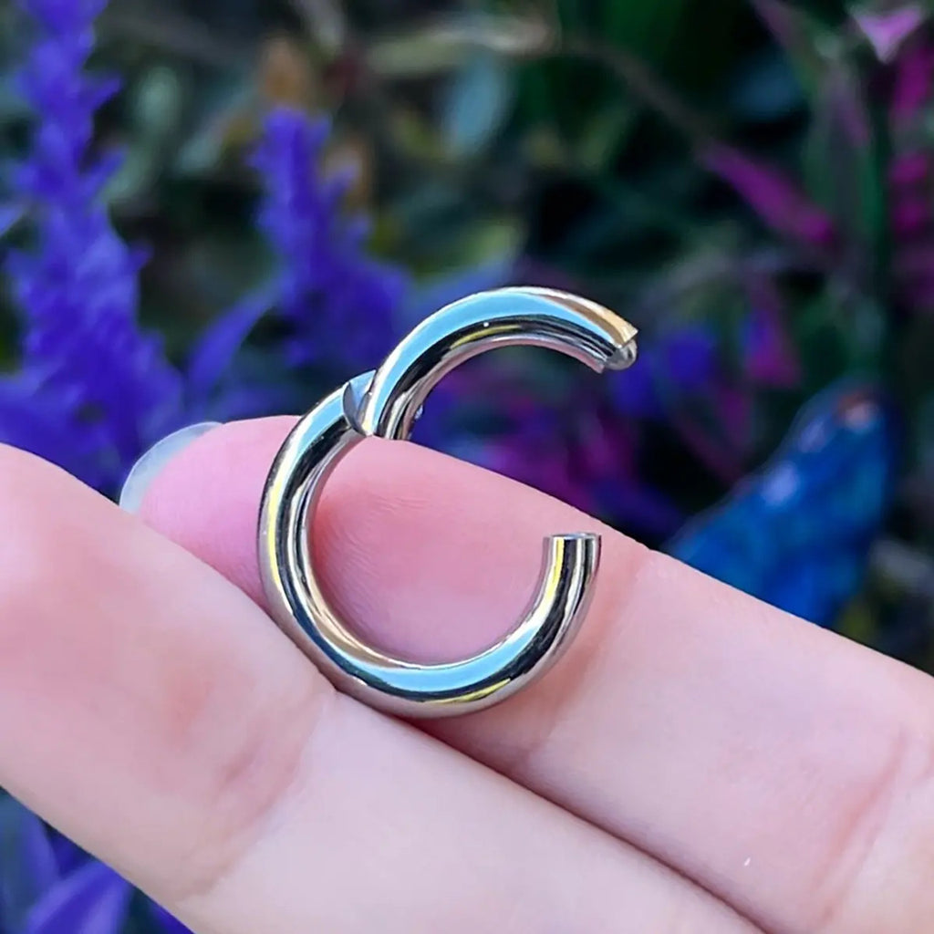 Surgical Steel Hinged Clicker Segment Ring Hoop 8 to 2 Gauge - Large - Kruelty - Photo 2
