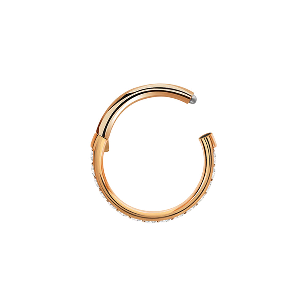Titanium 16 Gauge Hinged Hoop Ring Segment with Forward Facing CZ