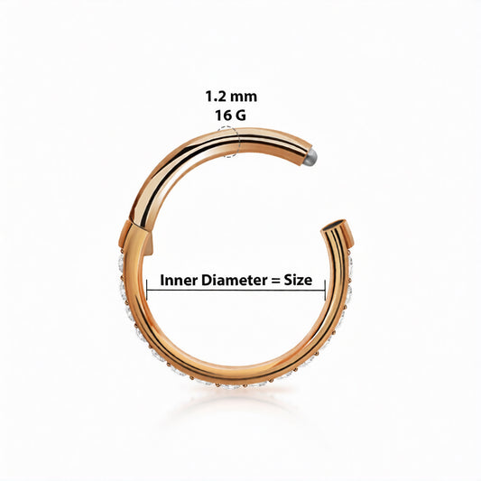 Titanium 16 Gauge Hinged Hoop Ring Segment with Forward Facing CZ