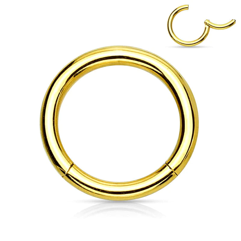 Surgical Steel Hinged Segment Nose Hoop Ring 16 or 14 Gauge - 4 Pack - Kruelty - Photo 5