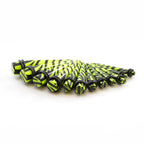 Acrylic 6 to 7/16 Inch Green Zebra Ear Stretching Kit - 12 Pack