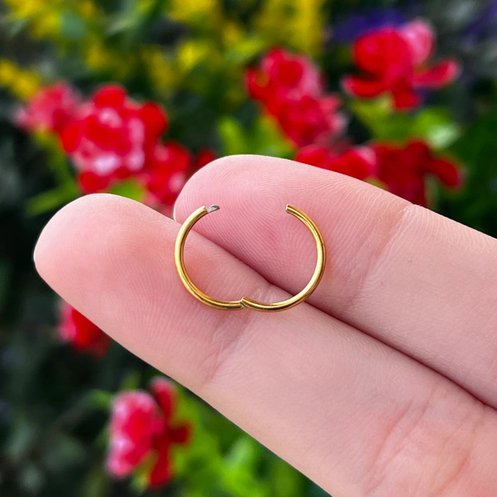 Titanium Hinged Segment Ring 18G 6mm to 10mm with Clicker - photo 3