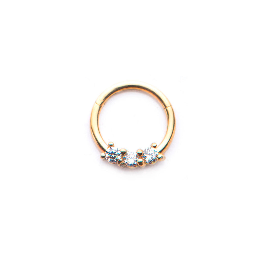Surgical Steel Hinged Segment Ring 16 Gauge 3 Set CZ - Kruelty - Photo 6