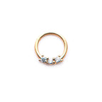 Surgical Steel Hinged Segment Ring 16 Gauge 3 Set CZ - Kruelty - Photo 6