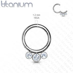 Titanium Hinged Segment Hoop Septum Ring 16 Gauge 3 Forward Gems - Kruelty - Photo 3