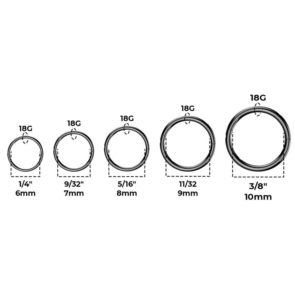 Titanium Hinged Segment Nose Hoop Ring 18 Gauge with New Secure Hook - Kruelty - Photo 4