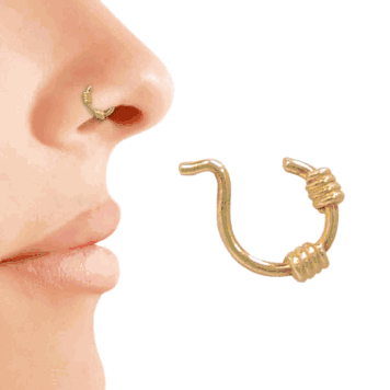 Surgical Steel Nose Ring with Two Coils - View 4