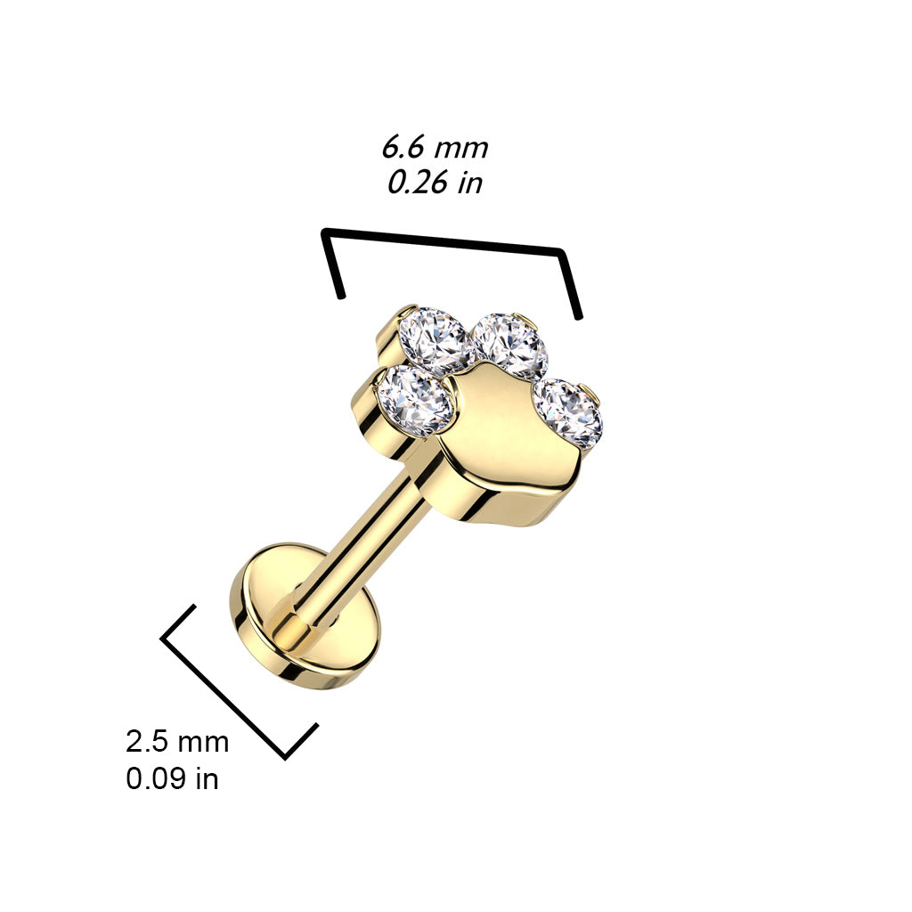 Titanium Push-In Flatback Labret Stud 18G & 20G 8mm with CZ Paw - photo 2
