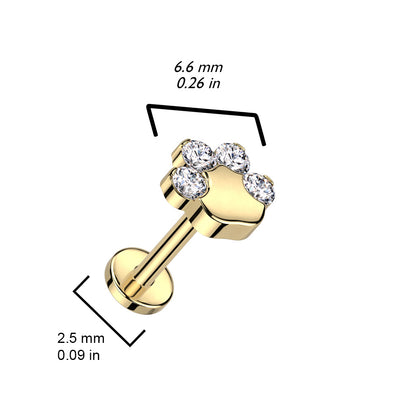 Titanium Push-In Flatback Labret Stud 18G & 20G 8mm with CZ Paw - photo 2