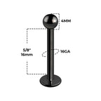 Surgical Steel 16 Gauge Black Flat Back Labret Stud