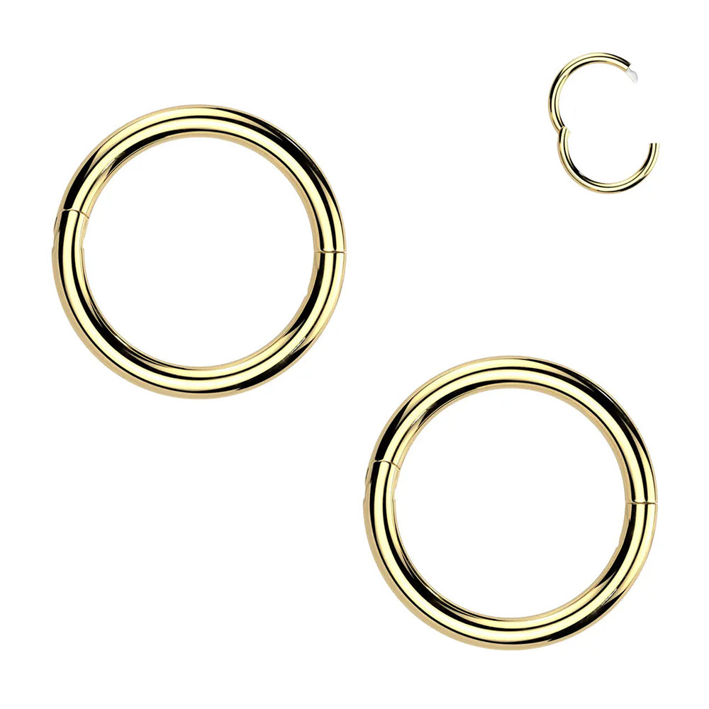 Titanium Hinged Segment Ring 18G 6mm to 10mm with Clicker - photo 9