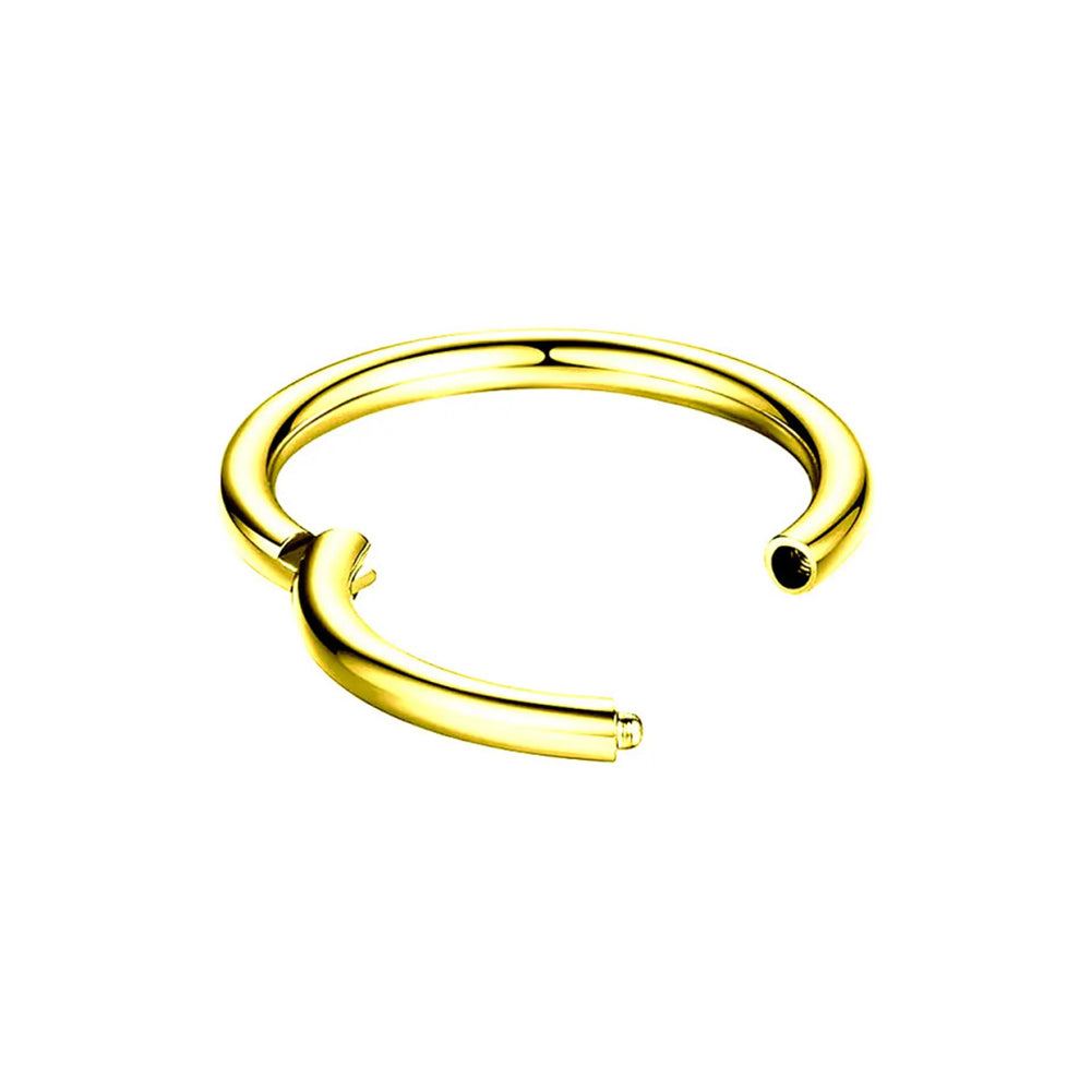 Titanium PVD Gold Hinged Segment Ring 10 to 20 Gauge - photo 2