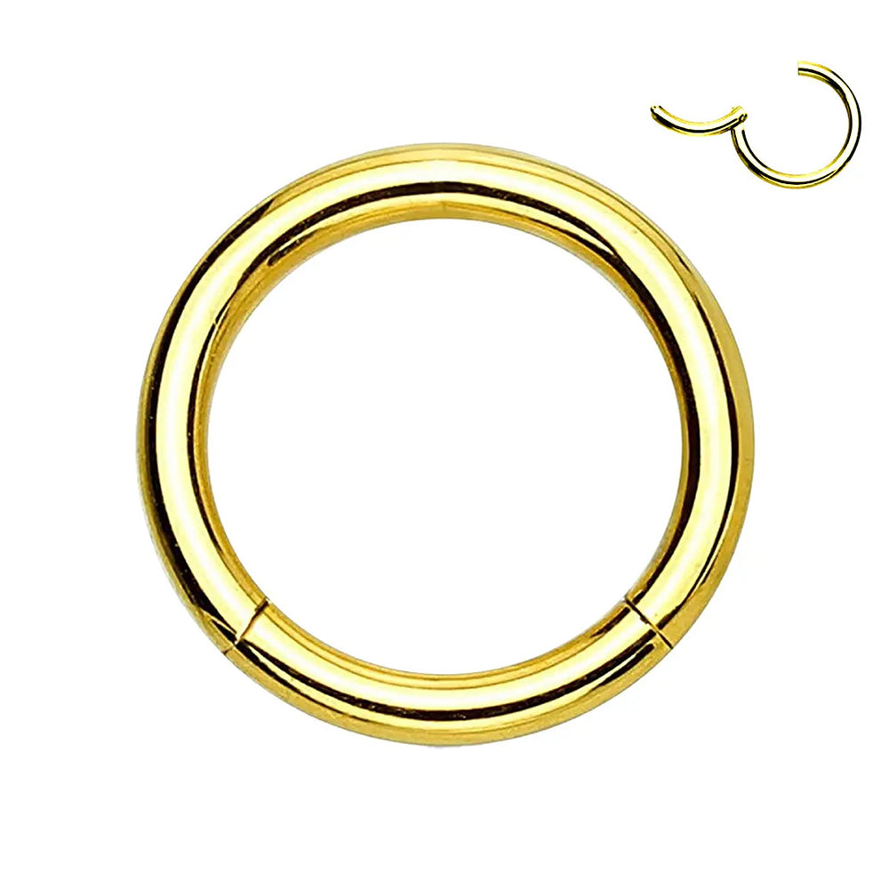 Titanium PVD Gold Hinged Segment Ring 10 to 20 Gauge - photo 5