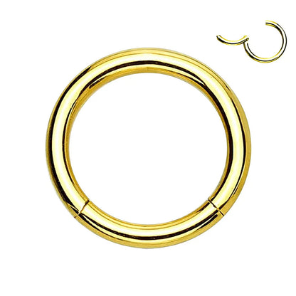 Titanium PVD Gold Hinged Segment Ring 10 to 20 Gauge - photo 5