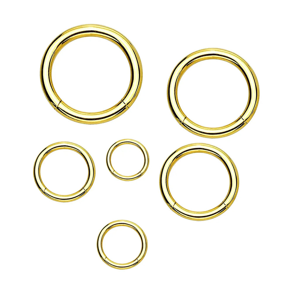 Titanium PVD Gold Hinged Segment Ring 10 to 20 Gauge