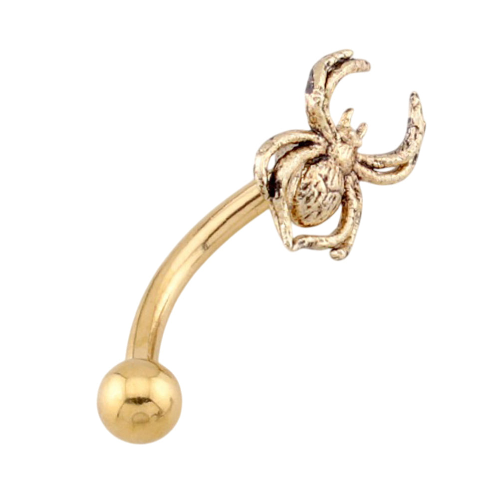 Surgical Steel 16 Gauge Curved Eyebrow Barbell with Venom Spider