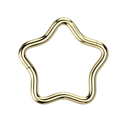 Titanium Star Hinged Segment Ring 18 Gauge 8mm & 10mm - 3 Colors - photo 6