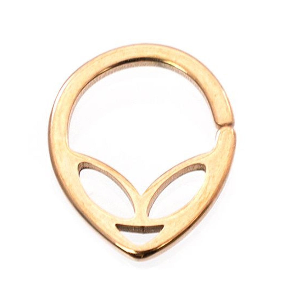 Surgical Steel 16 & 18 Gauge Alien Bendable Nose Ring Hoop - photo 5