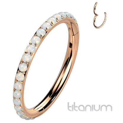 Titanium 16 Gauge Hinged Segment Rings with Forward Facing Opal - photo 5