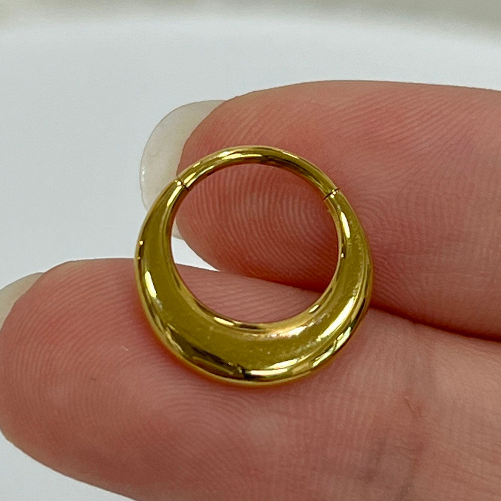 Surgical Steel Chunky Hinged Segment Ring 16G 8mm & 10mm - 2 Colors - photo 12
