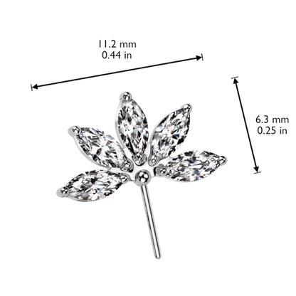 Titanium Push In Threadless Marquise Fan CZ Top - photo 2