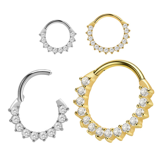 Titanium 16 Gauge Hinged Segment Rings with Sun Paved CZ