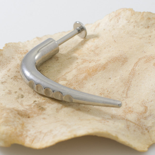 Surgical Steel Labret Ring 14 Gauge 3/8" x 40 mm Long Carved Claw - Kruelty - Photo 3